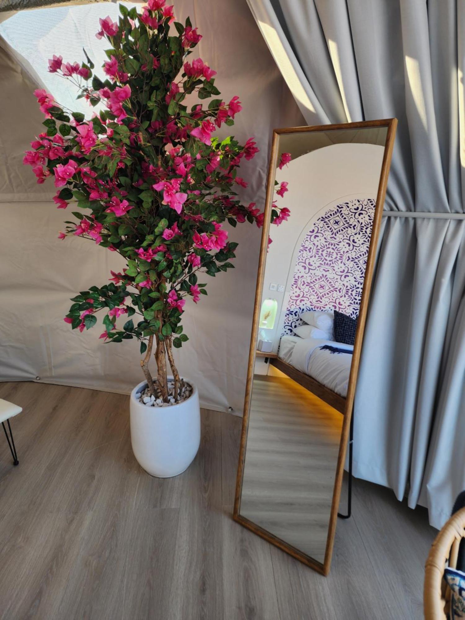 Bubbles Domes Private Cmp Hotel Al Wasil Room photo