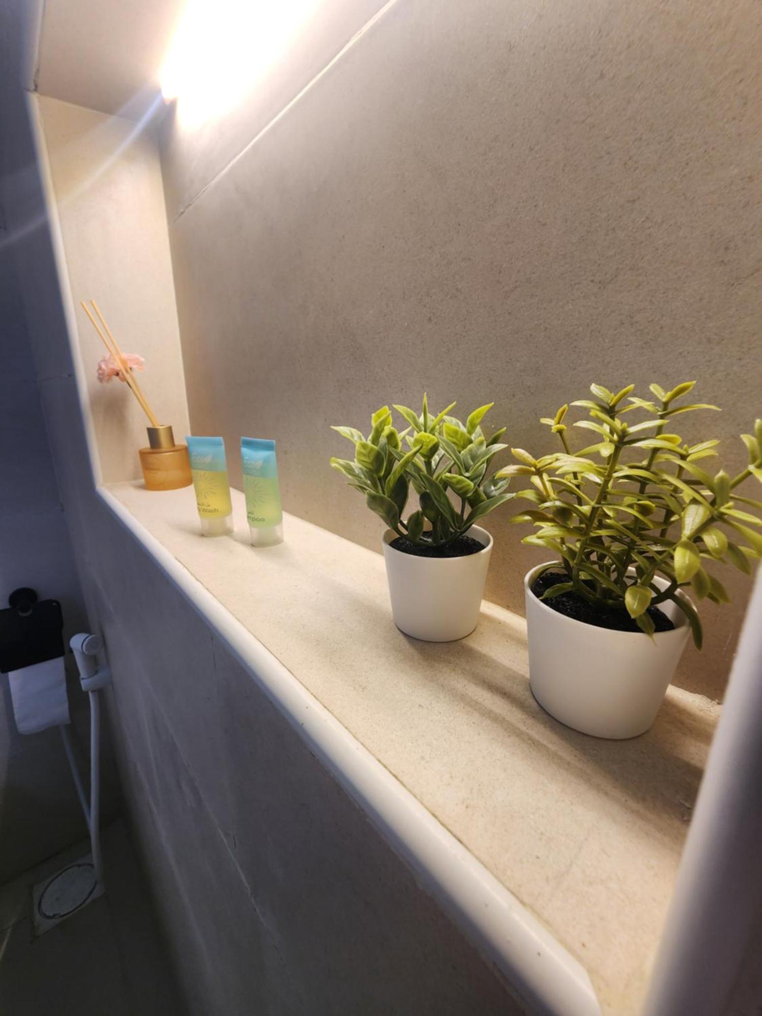 Bubbles Domes Private Cmp Hotel Al Wasil Room photo
